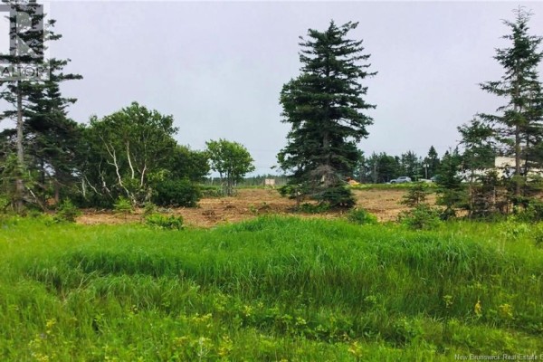 2.9 Acres Route 113, Haut Lameque, NB E8T3L4 Photo 3
