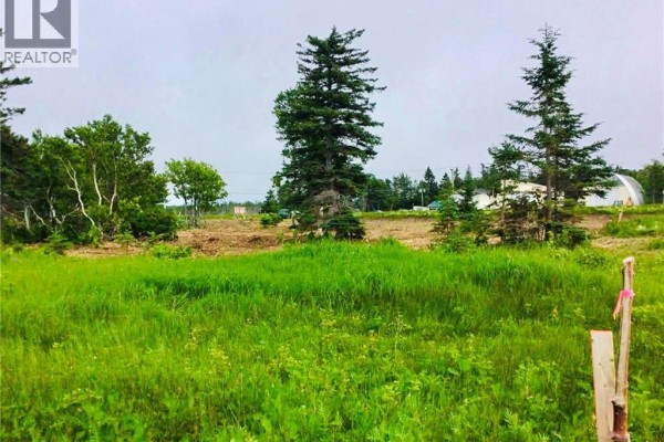 2.9 Acres Route 113, Haut Lameque, NB E8T3L4 Photo 5