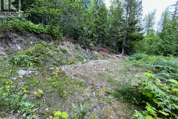 Small wooden outbuilding with open doors revealing storage items and blue barrels outside. - 20-9000 Seymour Main Lot# 20, Seymour Arm