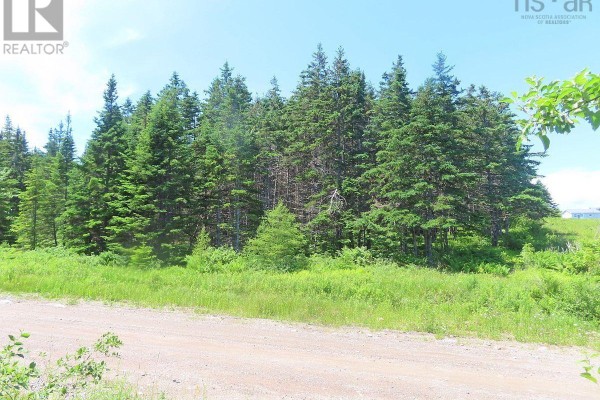 20 Acres Upper Grand Mira Road, Upper Grand Mira, NS B1K1M1 Photo 4