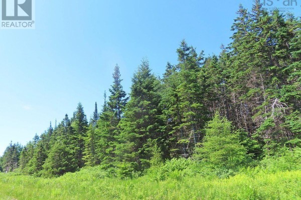 20 Acres Upper Grand Mira Road, Upper Grand Mira, NS B1K1M1 Photo 5
