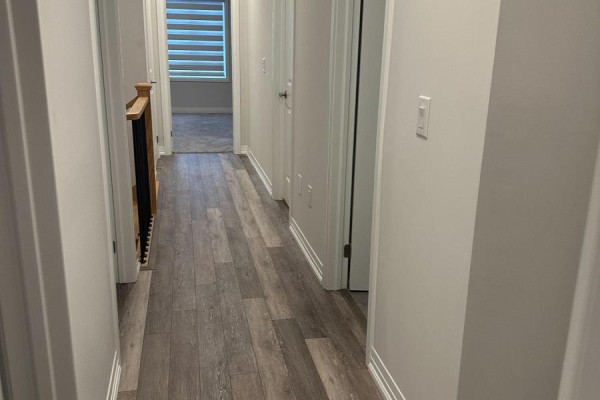 Primary Bedroom - 20 Blacklock Street, Cambridge, ON N1S0E2 Photo 4