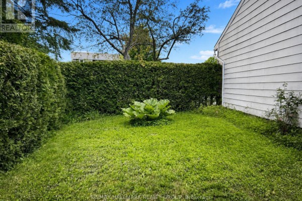 Lush green backyard enclosed by tall hedges, with a large green plant in the center. - 20 Cramer Drive, Ottawa