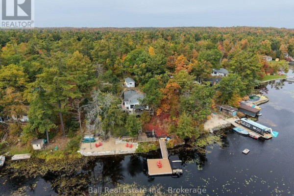 Aerial view of the Trent Lakes property surrounded by autumn foliage and evergreen trees. - 20 Fire Route 93, Trent Lakes