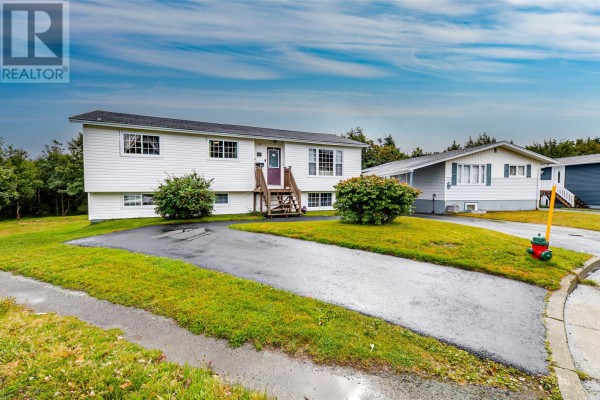 Recreation room - 20 Harnum Crescent, Mount Pearl, NL A1N2C6 Photo 4