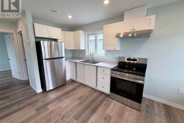 Eat in kitchen - 20 Hill Street, Grand Falls Windsor, NL A2B1J5 Photo 5