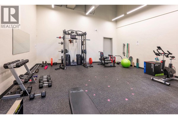 Gym with weight racks, dumbbells, exercise machines, and a large green stability ball. - 20 Kettleview Road Unit# 305, Big White