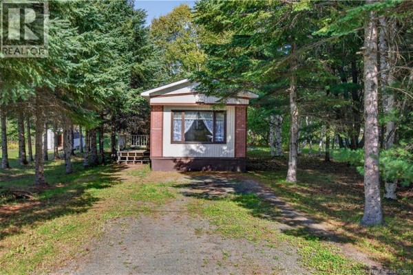 Bedroom - 20 Knox Street, Miramichi, NB E1N4K1 Photo 3