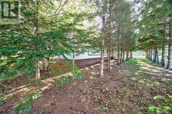 Living room - 20 Knox Street, Miramichi, NB E1N4K1 Photo 5