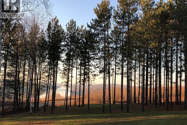 Scenic view of tall pine trees overlooking a river and distant hills. - 20 Left Branch Salmon Hill Road, Florenceville Bristol