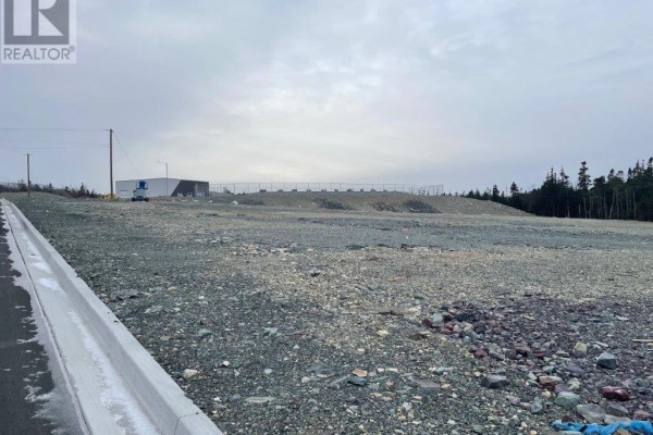 20 N Edmonds Place, St  John S, NL A1B0C7 Photo 3