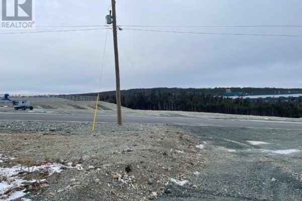20 N Edmonds Place, St  John S, NL A1B0C7 Photo 4