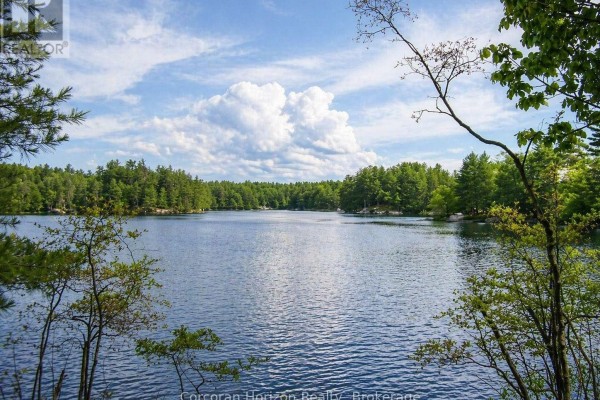20 Part Lot 13 Concession, Muskoka Lakes), ON P0C1A0 Photo 2
