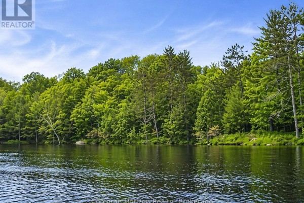 20 Part Lot 13 Concession, Muskoka Lakes), ON P0C1A0 Photo 3