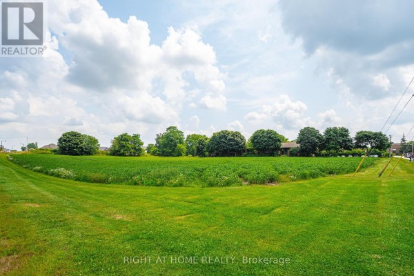 Expansive green field with mature trees bordering the edge and a partly cloudy sky above. - 20 Part Lot Con 1, Minto