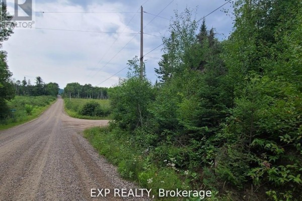 20 Peplinskie Homestead Road, Madawaska Valley, ON K0J1B0 Photo 3