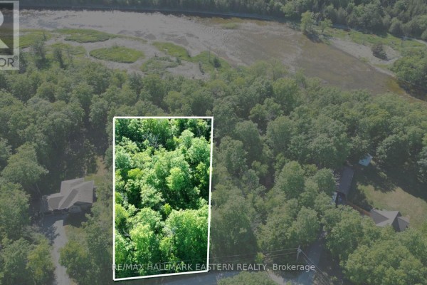20 Riverside Drive, Trent Hills, ON, photo 2