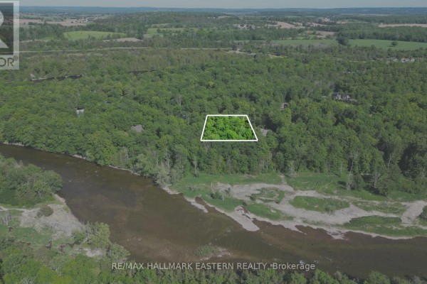 20 Riverside Drive, Trent Hills, ON K0L1L0 Photo 4