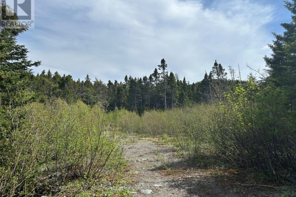 Lots and Land for sale at 20 Ryan Road, Spaniard S Bay, NL - MLS® WDfvHE