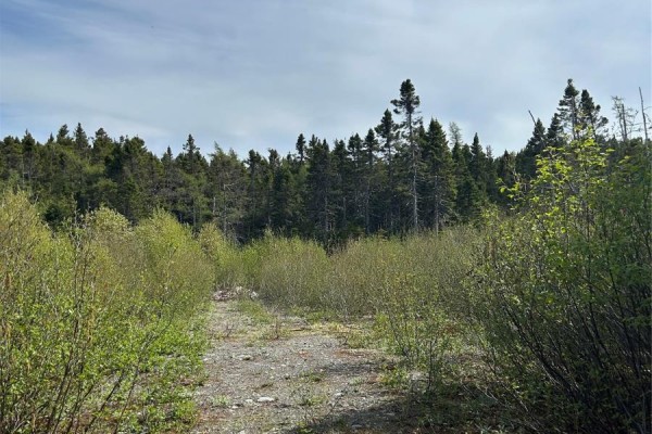 20 Ryan Road, Spaniard S Bay, NL, photo 2