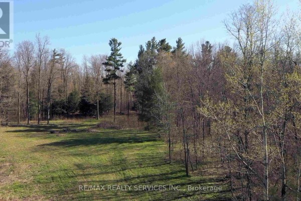 20 Side Road, Halton Hills, ON L7G4S4 Photo 4