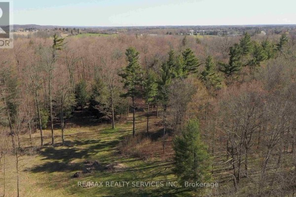 20 Side Road, Halton Hills, ON L7G4S4 Photo 5