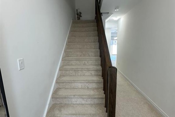 20 Stauffer Road, Brantford, ON N3V0B2 Photo 3