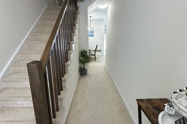 20 Stauffer Road, Brantford, ON N3V0B2 Photo 4