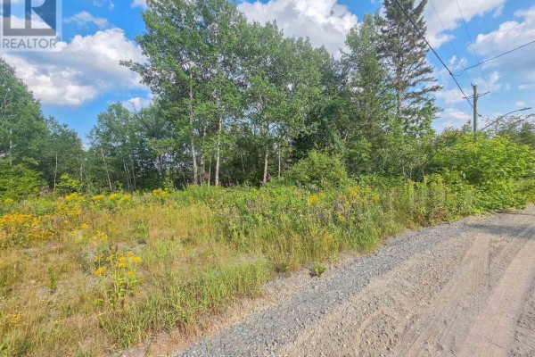 20 Swastika Avenue, Kirkland Lake, ON P0K1T0 Photo 4