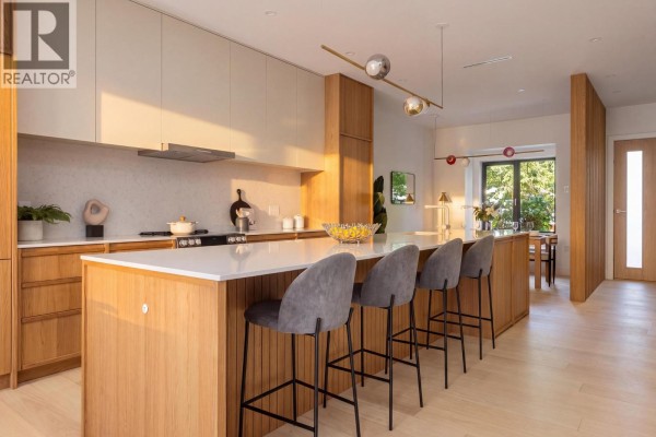 20 W 14th Avenue, Vancouver, BC V5Y1W6 Photo 5