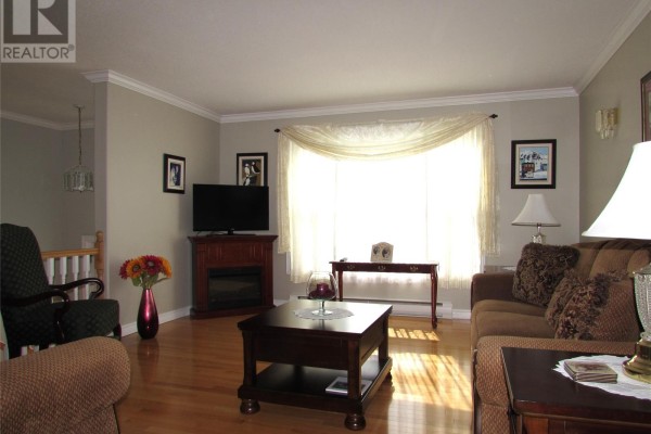 Office - 20 Windsor Street, Corner Brook, NL A2H6S2 Photo 2