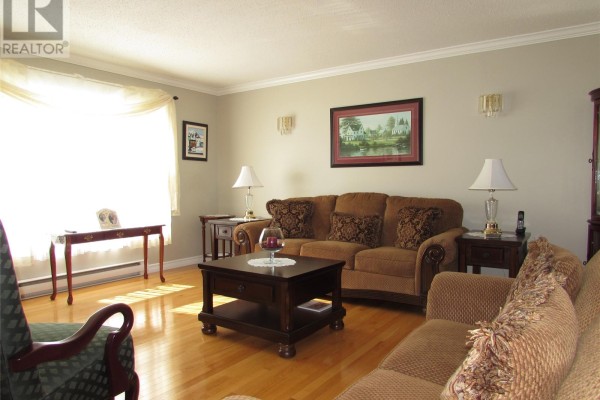 Family room - 20 Windsor Street, Corner Brook, NL A2H6S2 Photo 3