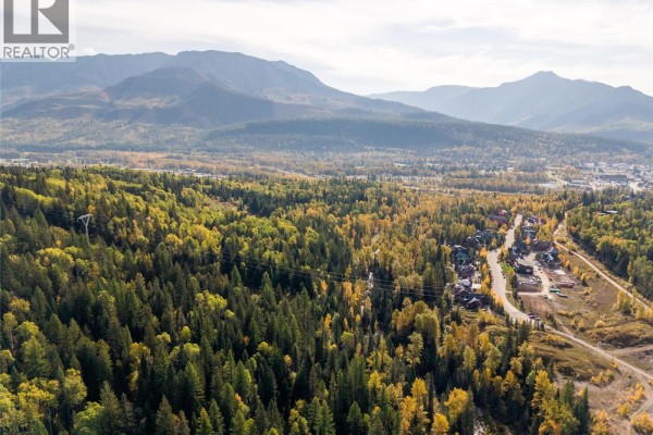 Overhead view of a wooded mountainside with scattered homes and a road winding through the trees. - 200 Canyon Trail, Fernie