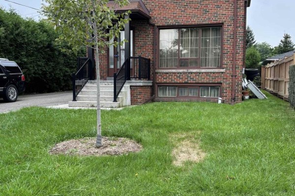 200 Locksley Avenue, Toronto, ON, photo 2