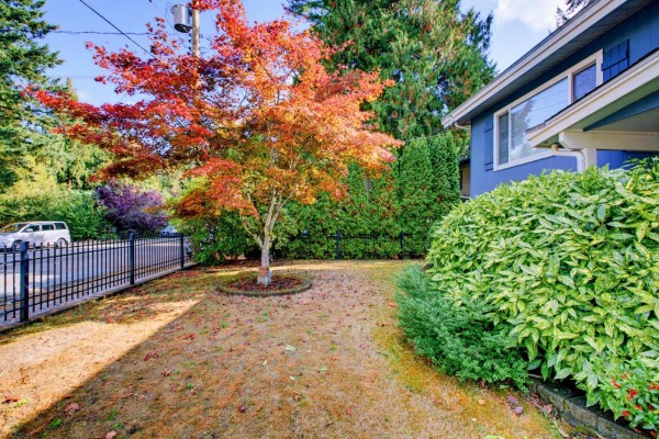 20014 38 Avenue, Langley, BC, photo 3