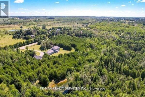 Aerial view of house, driveway, trees, and pond - 20040 Kennedy Road, Caledon