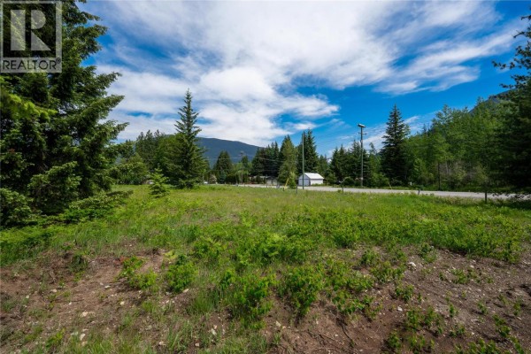 Cleared lot with grass and trees, facing a street with a white building. - 2006 Lanzo Lane, Revelstoke