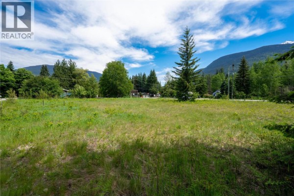 Cleared lot with tall grass and trees, with mountains in the background. - 2006 Lanzo Lane, Revelstoke