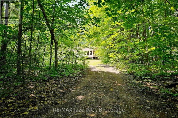 2006 South Beaver Lake Lane, Minden Hills, ON, photo 3