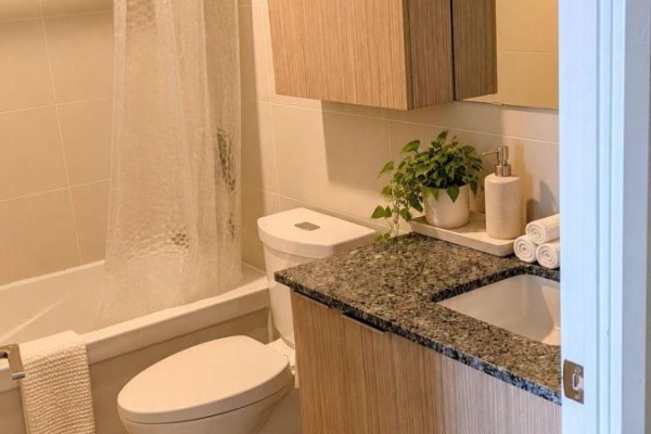 Bathroom with a bathtub, toilet, and vanity featuring a granite countertop and light wood cabinet. - 2008 - 10 Deerlick Court, Toronto