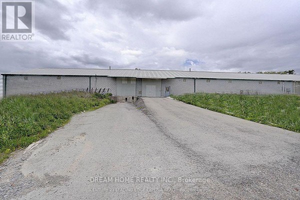 20091 Woodbine Avenue, East Gwillimbury, ON L0G1R0 Photo 5