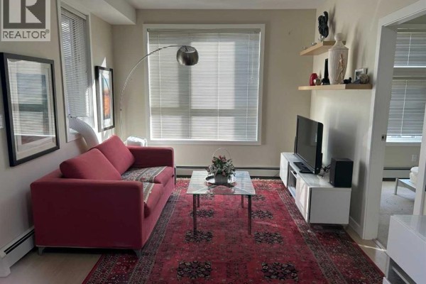 Laundry room - 201, 707 4 Street Ne, Calgary, AB T2E3S7 Photo 2