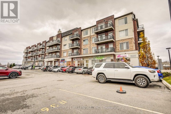 Living room - 201 - 50 Sky Harbour Drive, Brampton, ON L6Y6B8 Photo 3