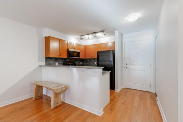 201 20750 Duncan Way, Langley, BC V3A9J6 Photo 3