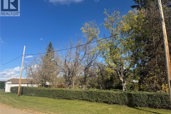 A residential lot with a low hedge, trees, a utility pole, and a distant building under a bright blue sky. - 201 2nd Avenue, Borden