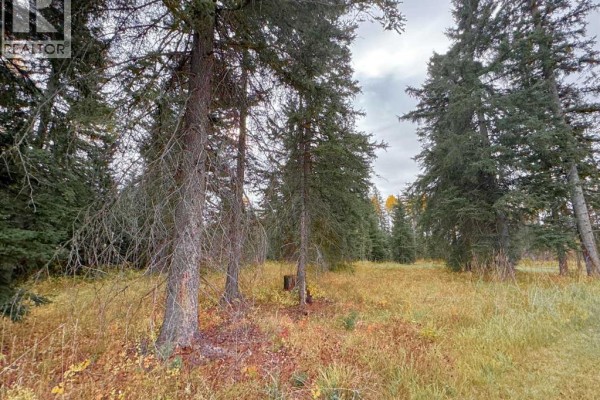 201 High Timber Place, Rural Clearwater County, AB, photo 3
