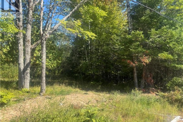 201 King Street, Chipman, NB E4A2K4 Photo 3