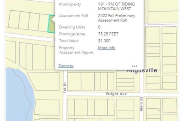 Map shows streets and properties in Angusville, with the 75.25 FEET frontage lot highlighted. - 201 Railway Avenue, Angusville
