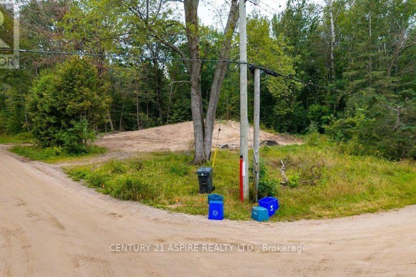 201 Sand Point Road, Whitewater Region, ON K8A6W2 Photo 4