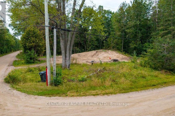 201 Sand Point Road, Whitewater Region, ON K8A6W2 Photo 5